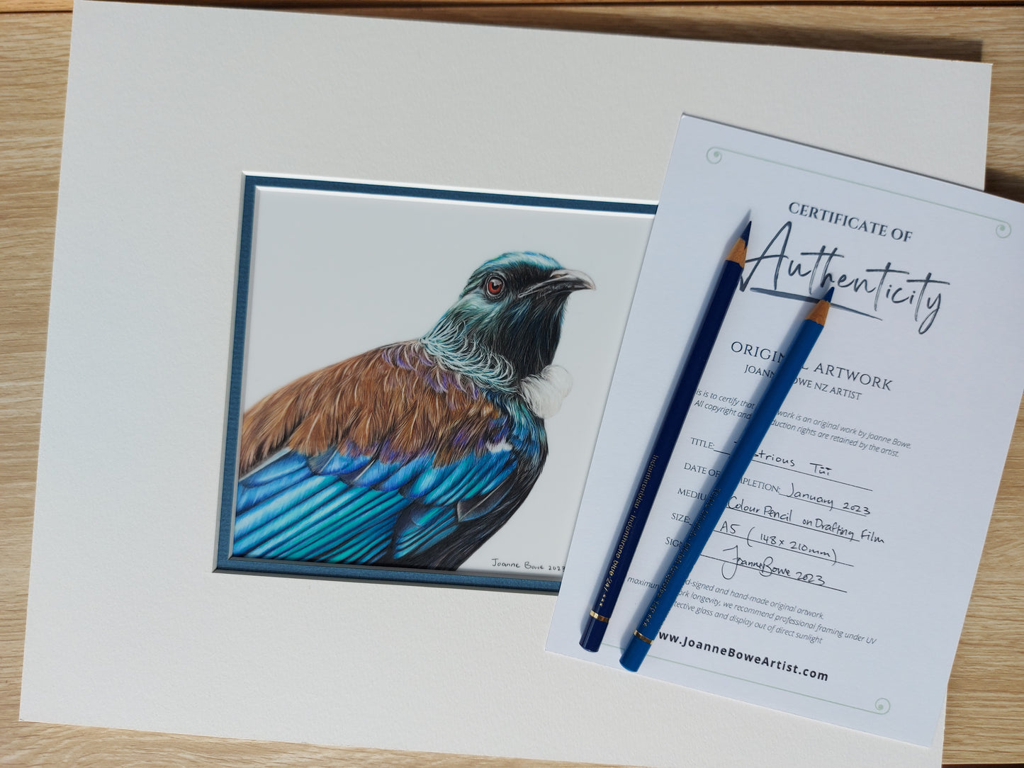 Illustrious Tūī ORIGINAL - Joanne Bowe | New Zealand Artist