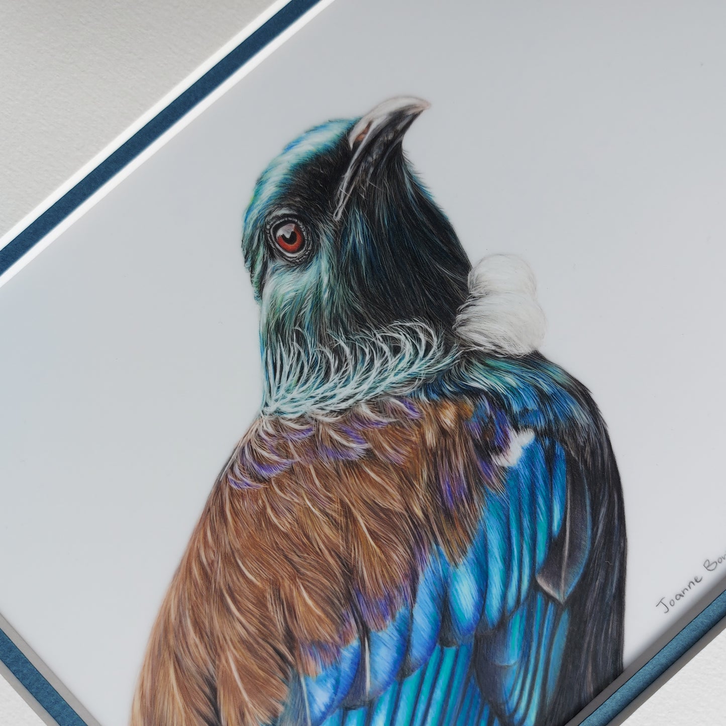 Illustrious Tūī ORIGINAL - Joanne Bowe | New Zealand Artist