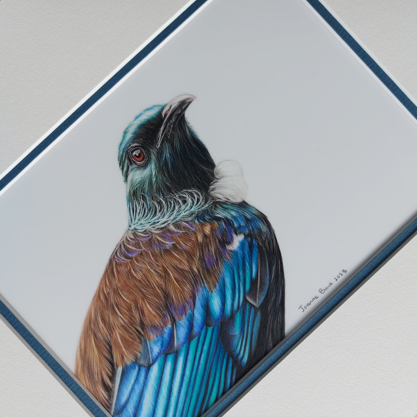 Illustrious Tūī ORIGINAL - Joanne Bowe | New Zealand Artist