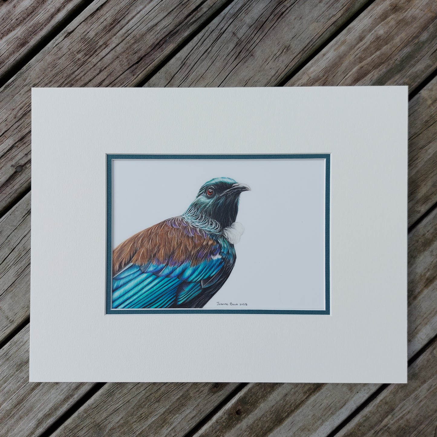 Illustrious Tūī ORIGINAL - Joanne Bowe | New Zealand Artist