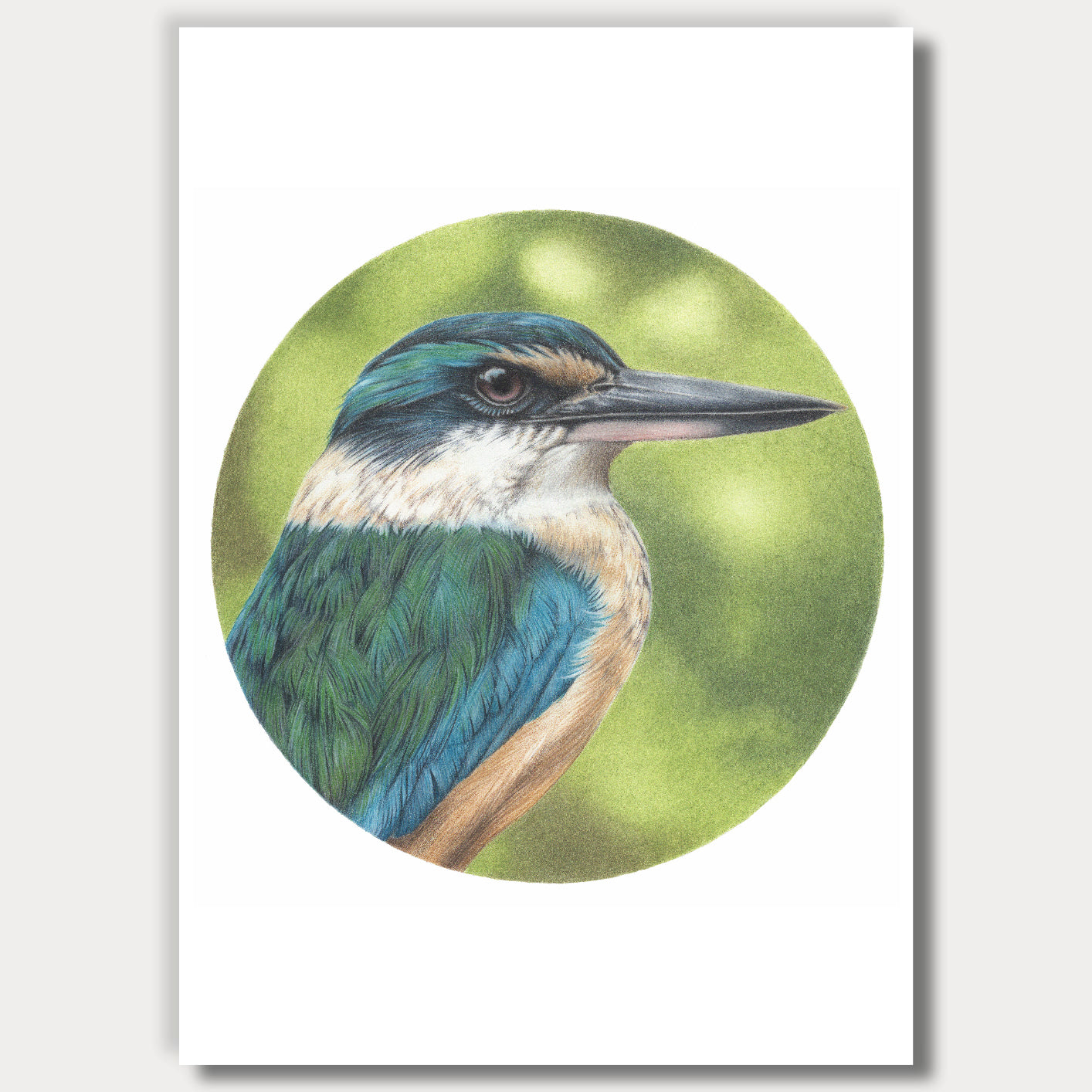Kingfisher (Circle Series)