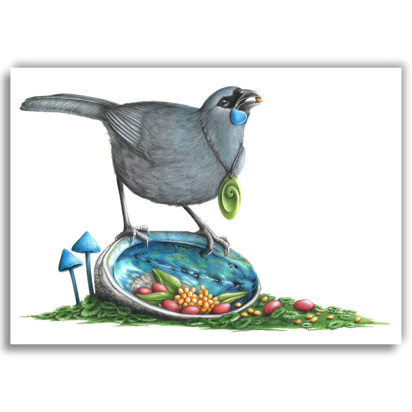 Kokako's Delight