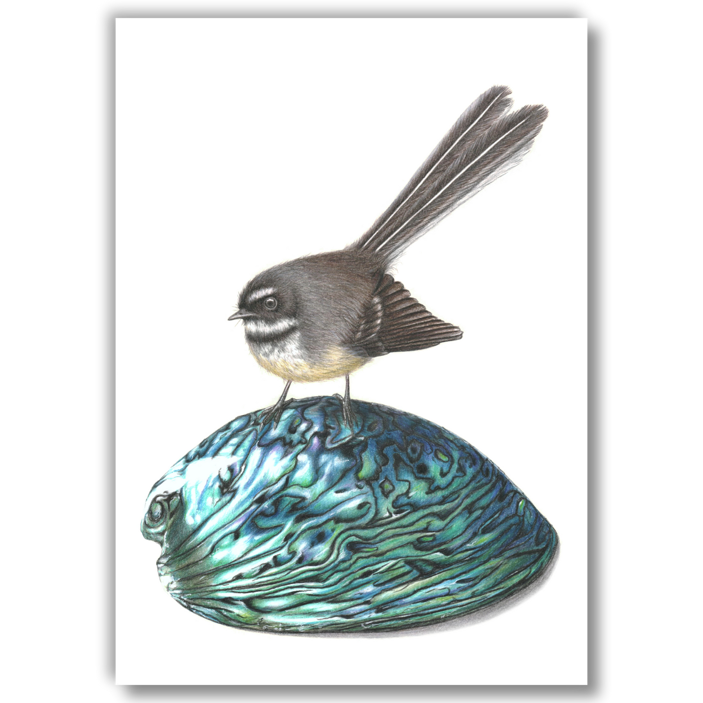 Paua & Piwakawaka