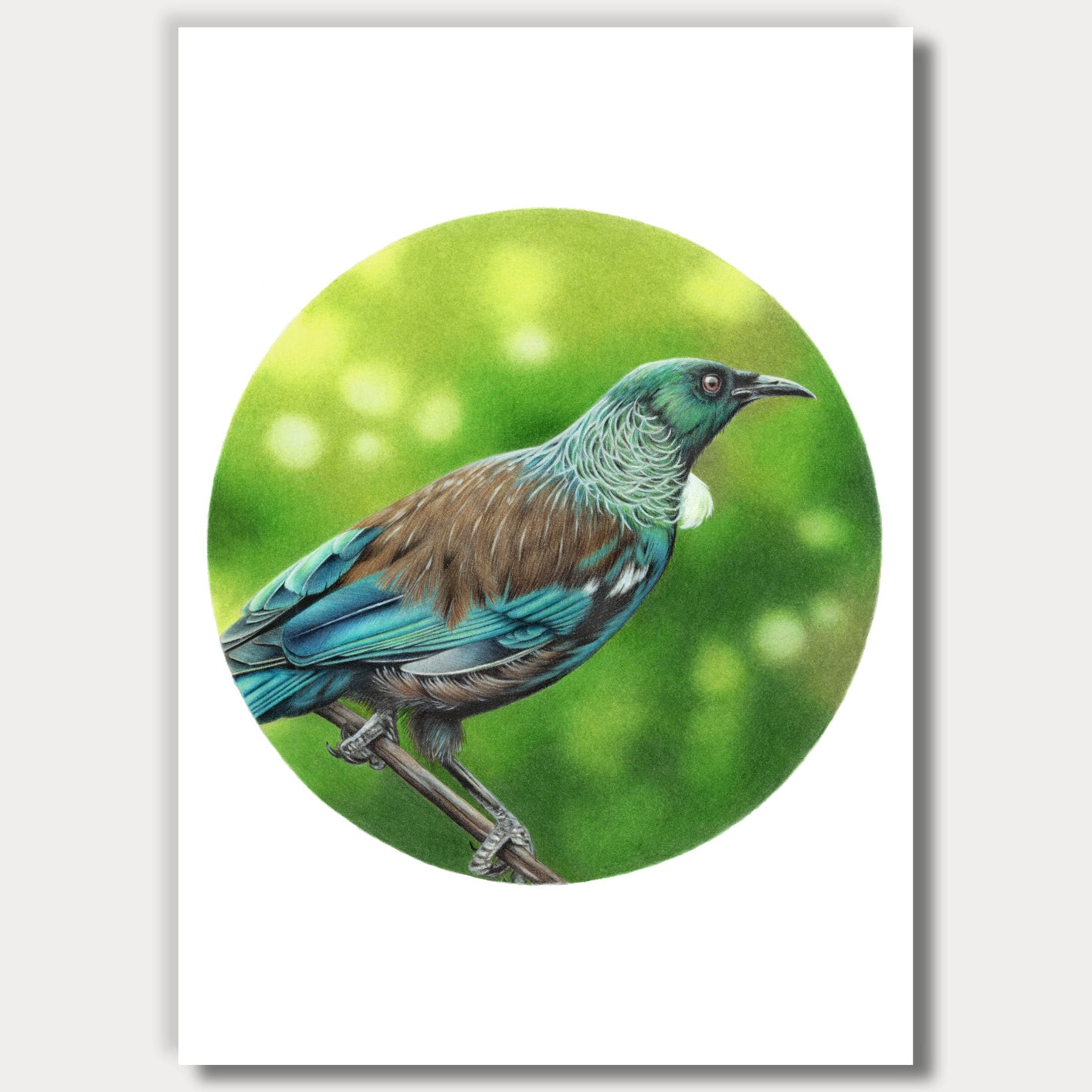 Tui (Circle Series)