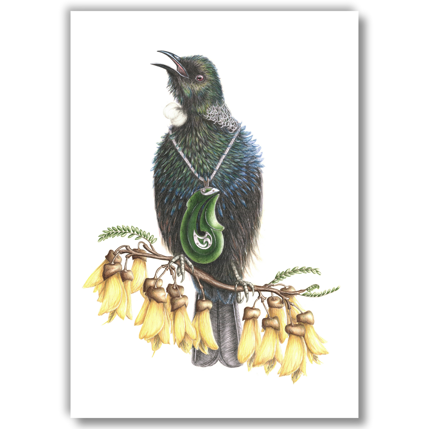 Tui with Greenstone & Kowhai