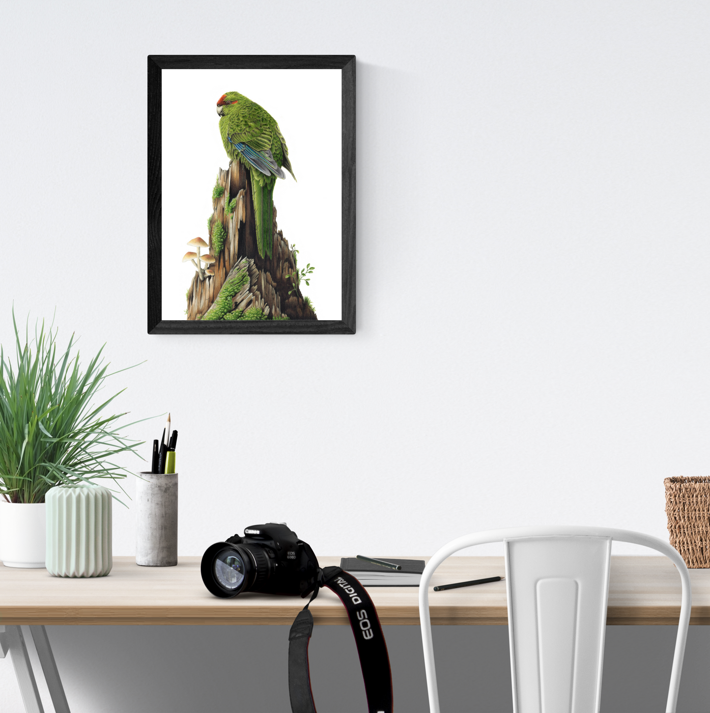 Red-Crowned Kākāriki / Parakeet