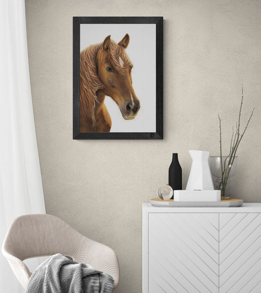 Horse - Joanne Bowe | New Zealand Artist