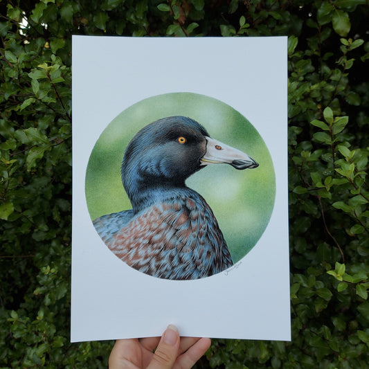 Blue Duck (Circle Series) - Joanne Bowe | New Zealand Artist