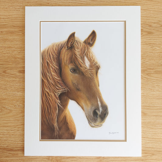 Horse ORIGINAL - Joanne Bowe | New Zealand Artist