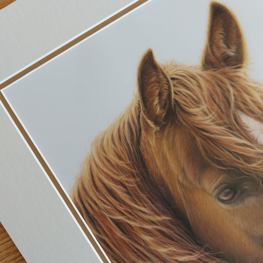 Horse ORIGINAL - Joanne Bowe | New Zealand Artist
