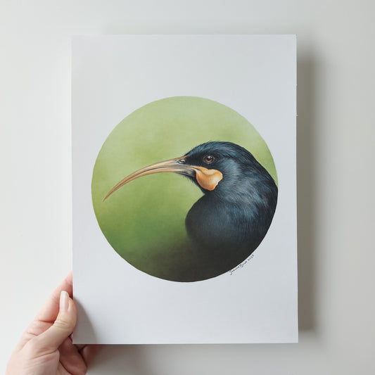 Huia ORIGINAL - Joanne Bowe | New Zealand Artist