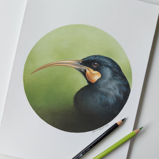 Huia ORIGINAL - Joanne Bowe | New Zealand Artist