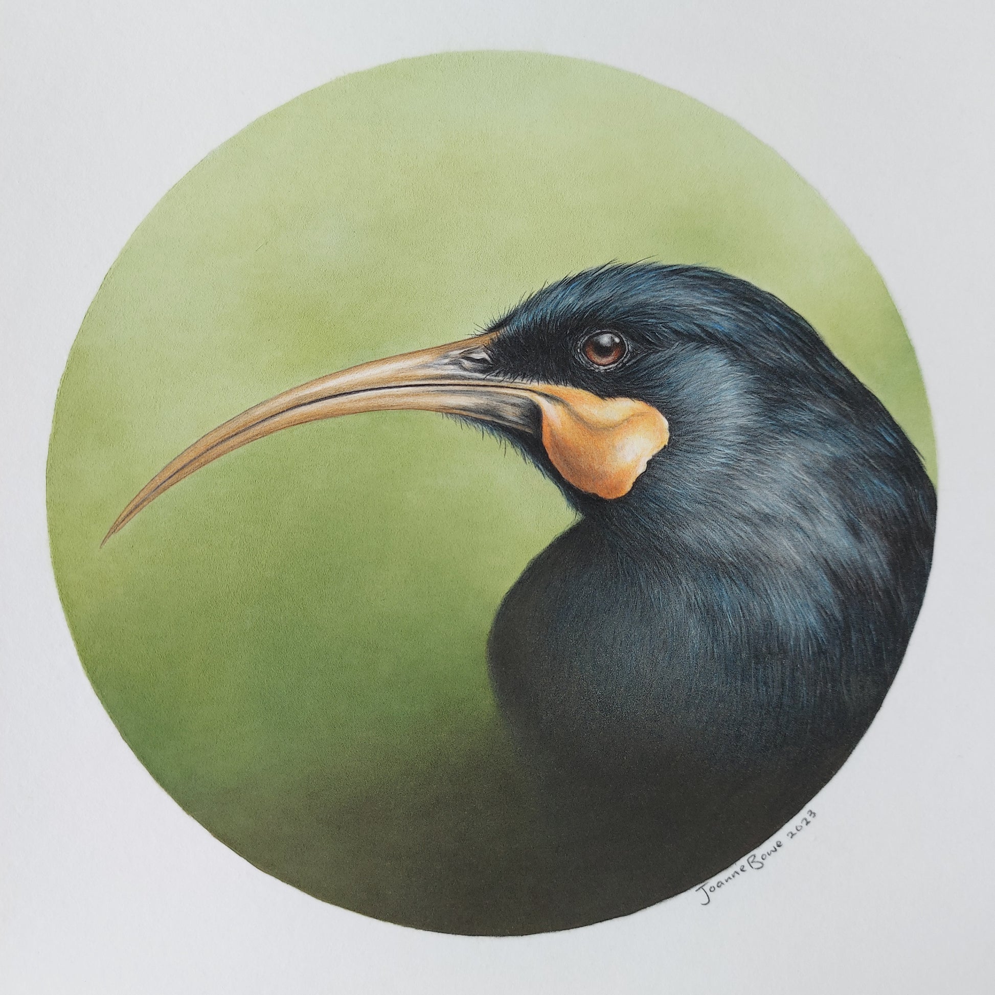 Huia ORIGINAL - Joanne Bowe | New Zealand Artist