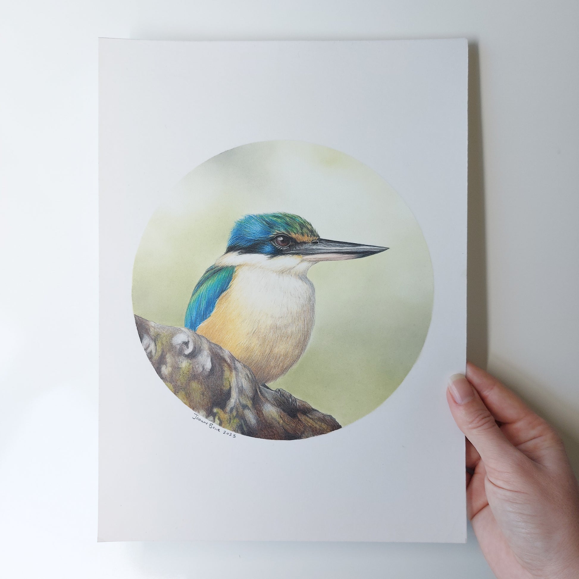 Kingfisher II ORIGINAL - Joanne Bowe | New Zealand Artist