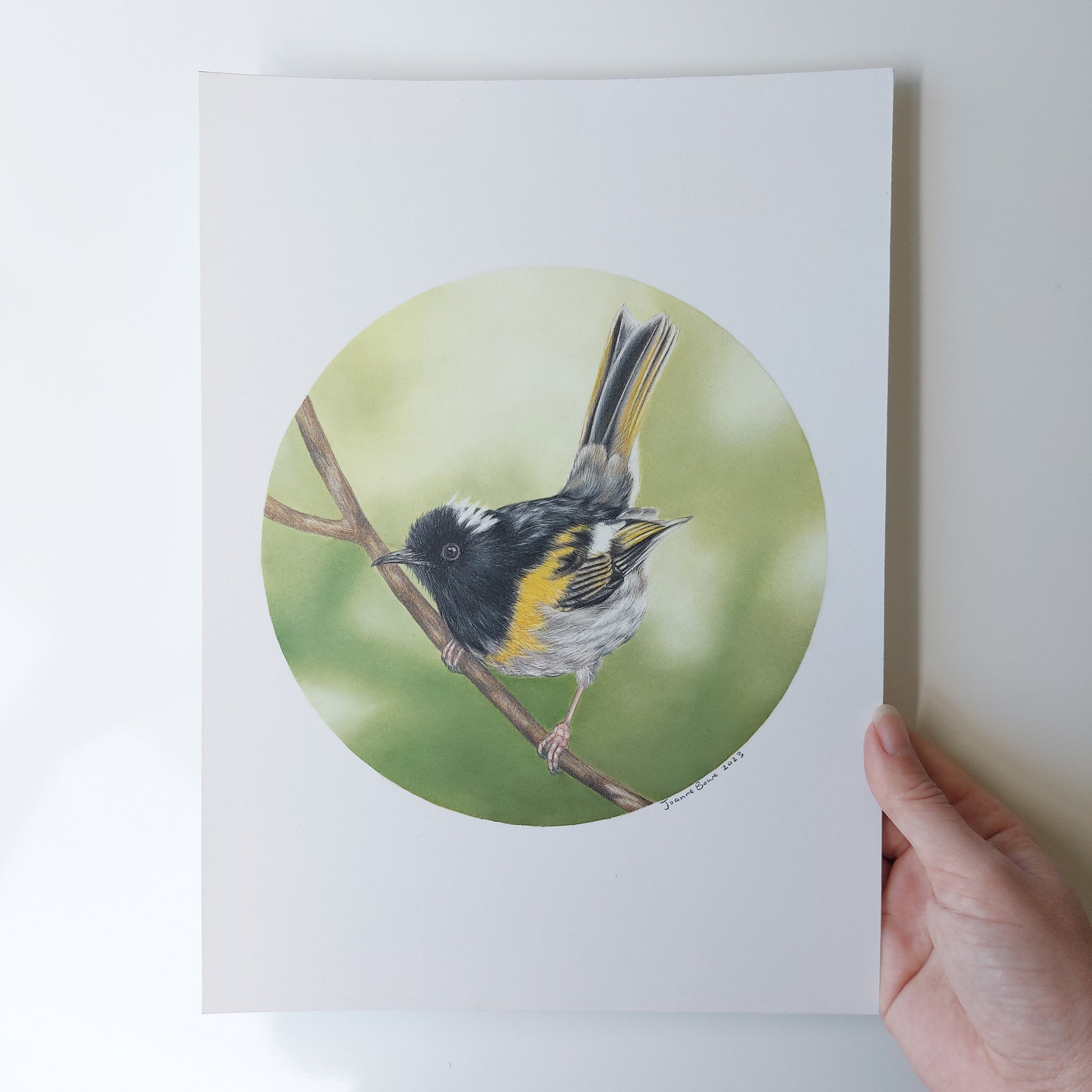 Stitchbird ORIGINAL - Joanne Bowe | New Zealand Artist