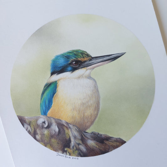 Kingfisher II ORIGINAL - Joanne Bowe | New Zealand Artist