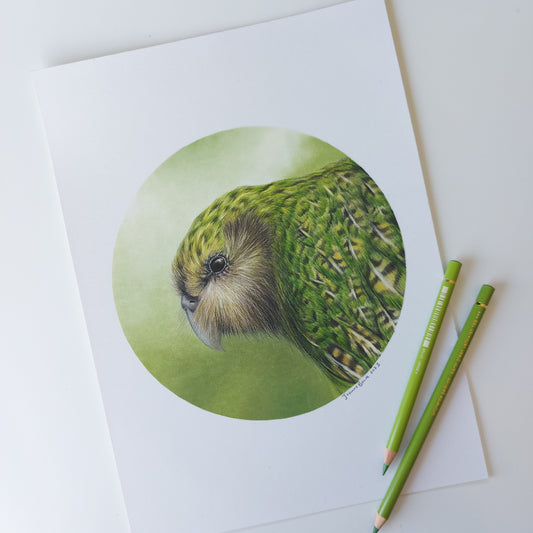 Kākāpō ORIGINAL - Joanne Bowe | New Zealand Artist