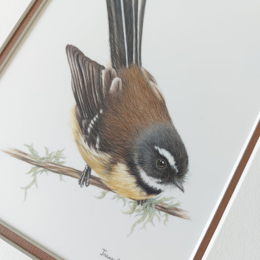 Fantail Piwakawaka ORIGINAL - Joanne Bowe | New Zealand Artist