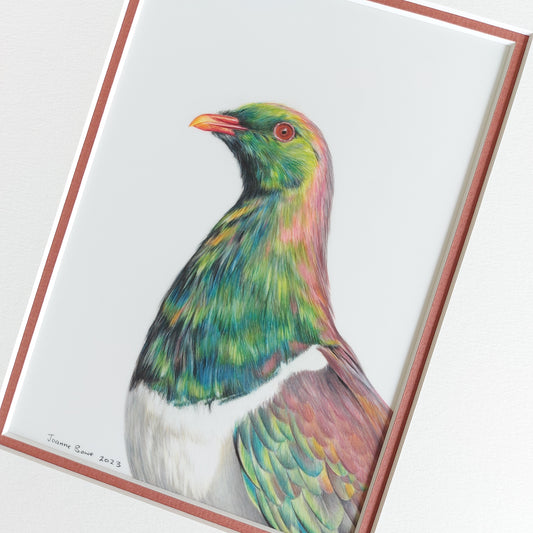Glistening Kererū ORIGINAL - Joanne Bowe | New Zealand Artist