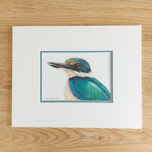 Colourful Kingfisher ORIGINAL - Joanne Bowe | New Zealand Artist