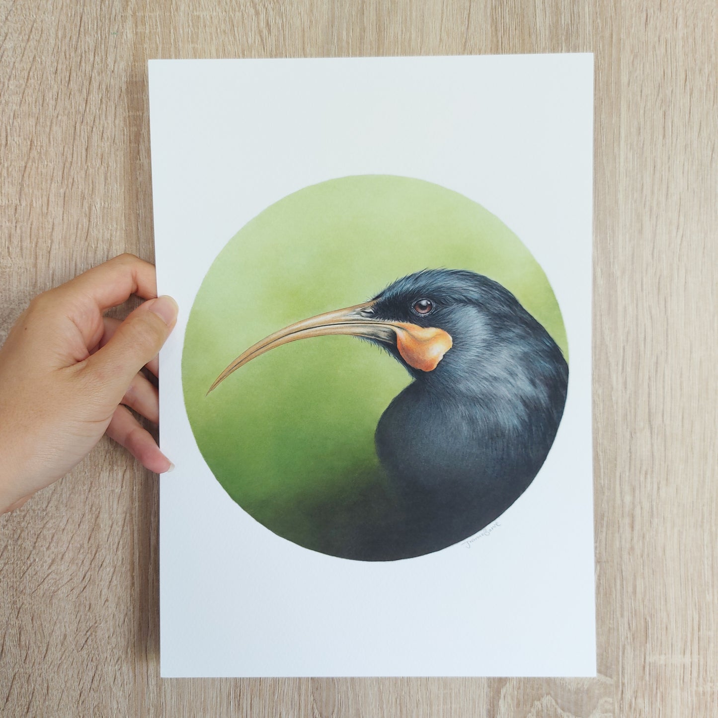 Huia (Circle Series) -Art Print