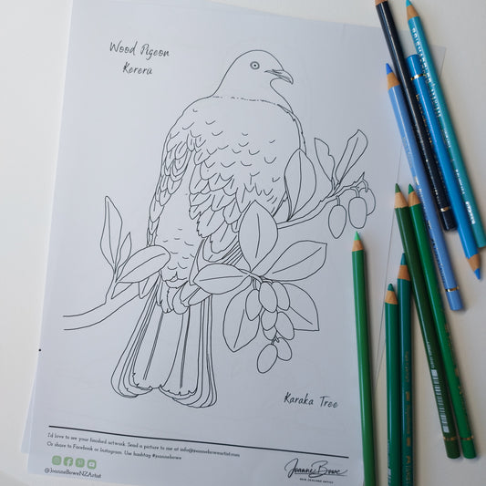 Kereru Drawing - Free Printable Colouring Page