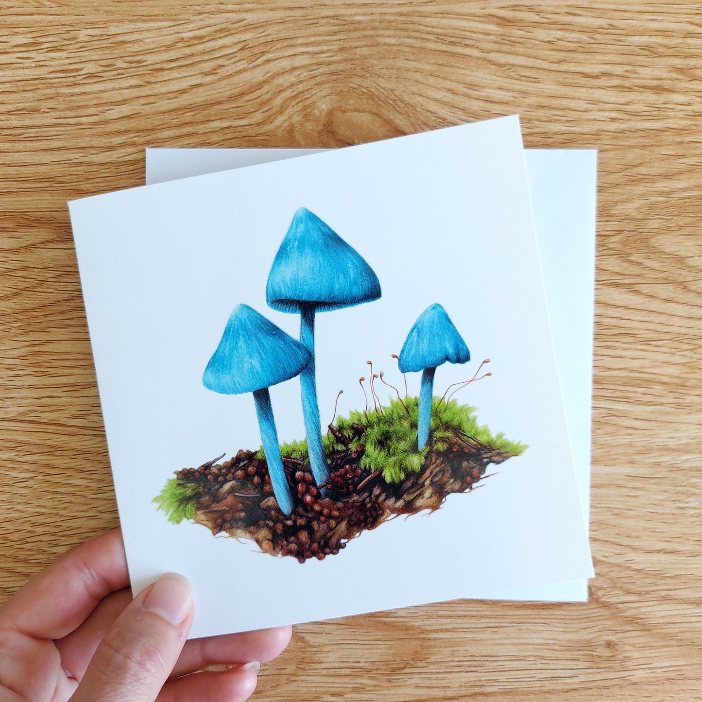 Greeting card featuring a coloured pencil illustration of a New Zealand Entoloma hochstetteri, also known as the werewere kokako fungi