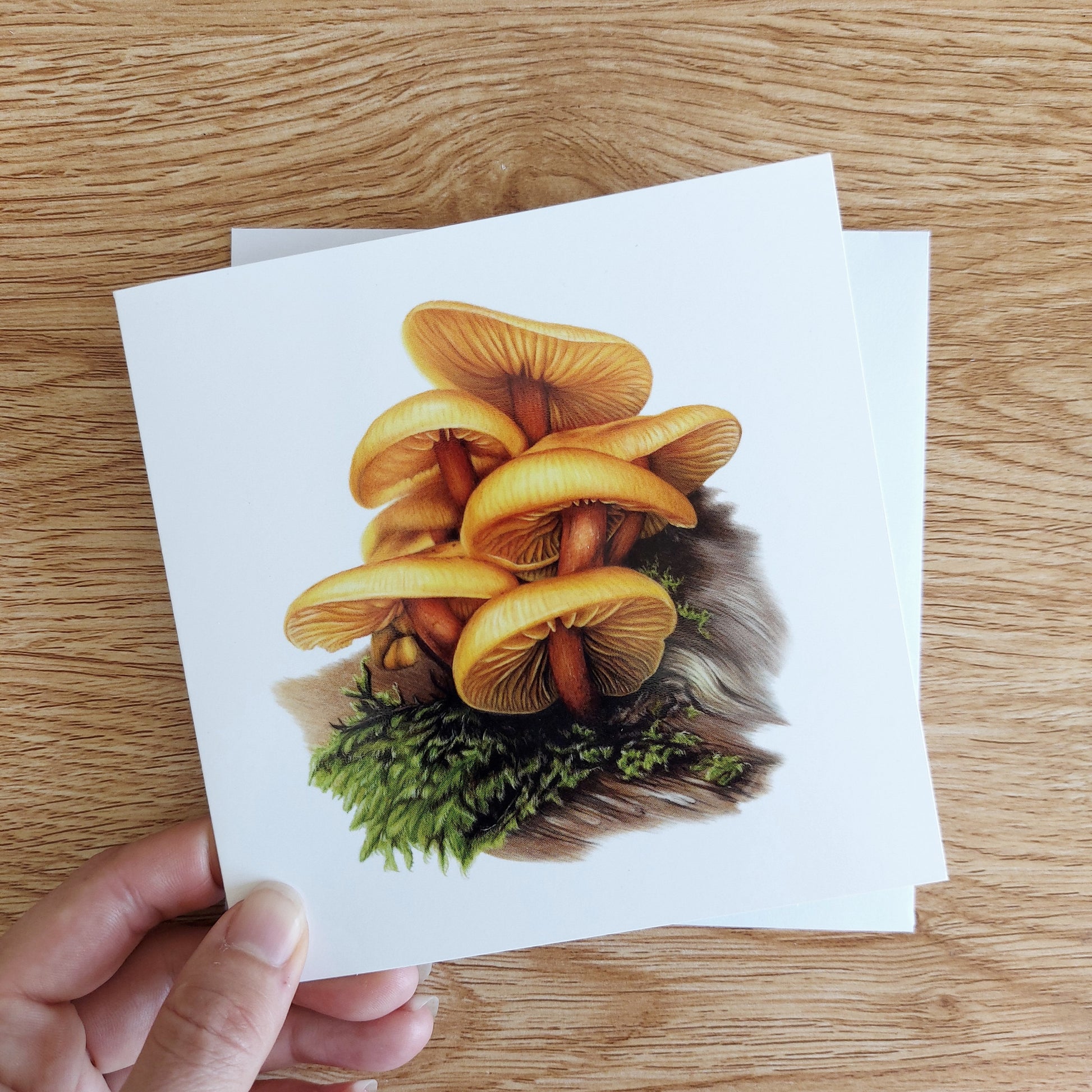 Greeting card featuring a coloured pencil illustration of a New Zealand Heimiomyces Velutipes orange mushroom 