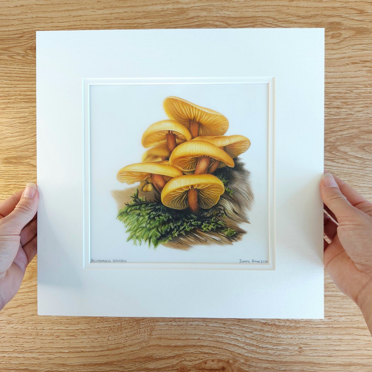 Heimiomyces Velutipes mushroom original drawing
