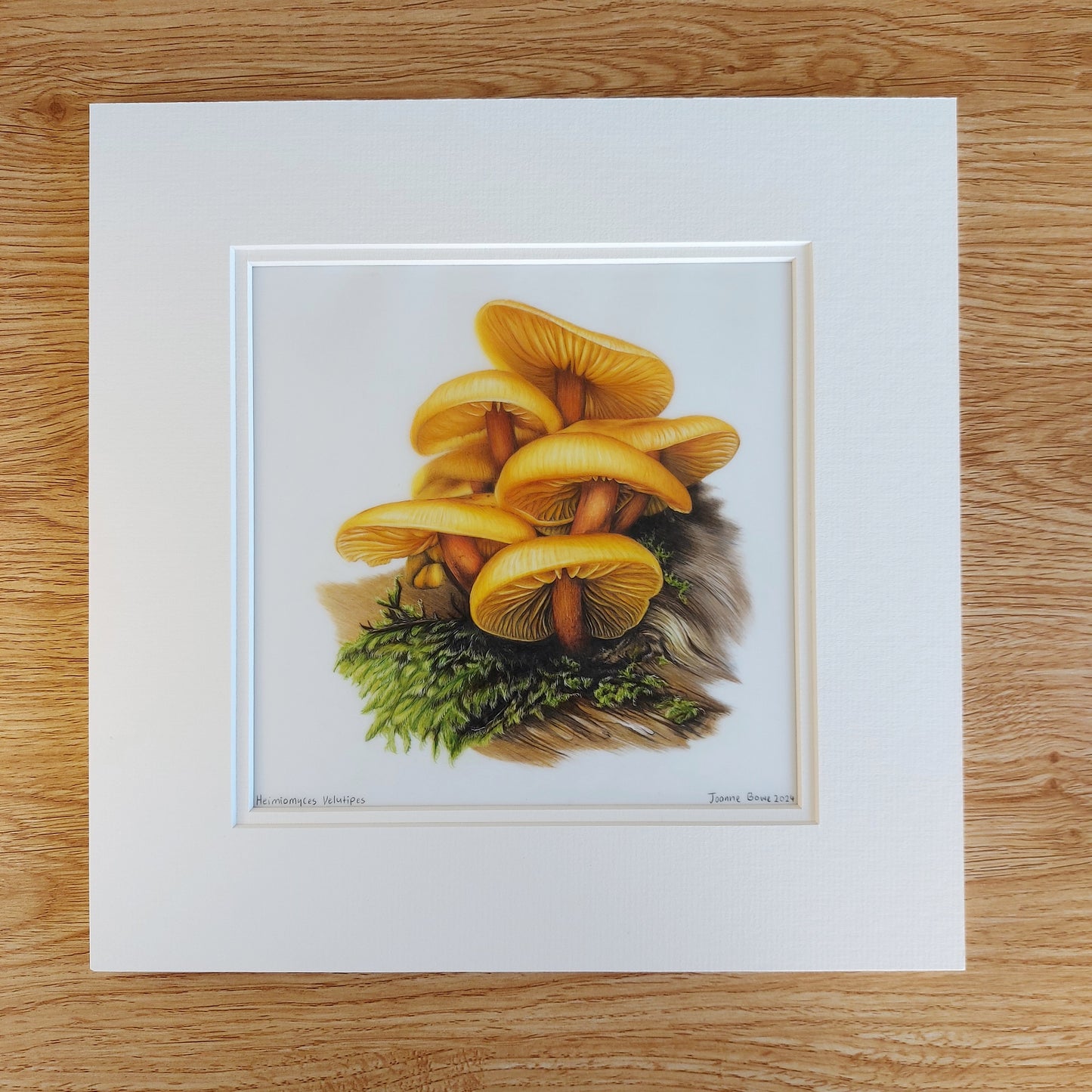 Heimiomyces Velutipes mushroom original drawing