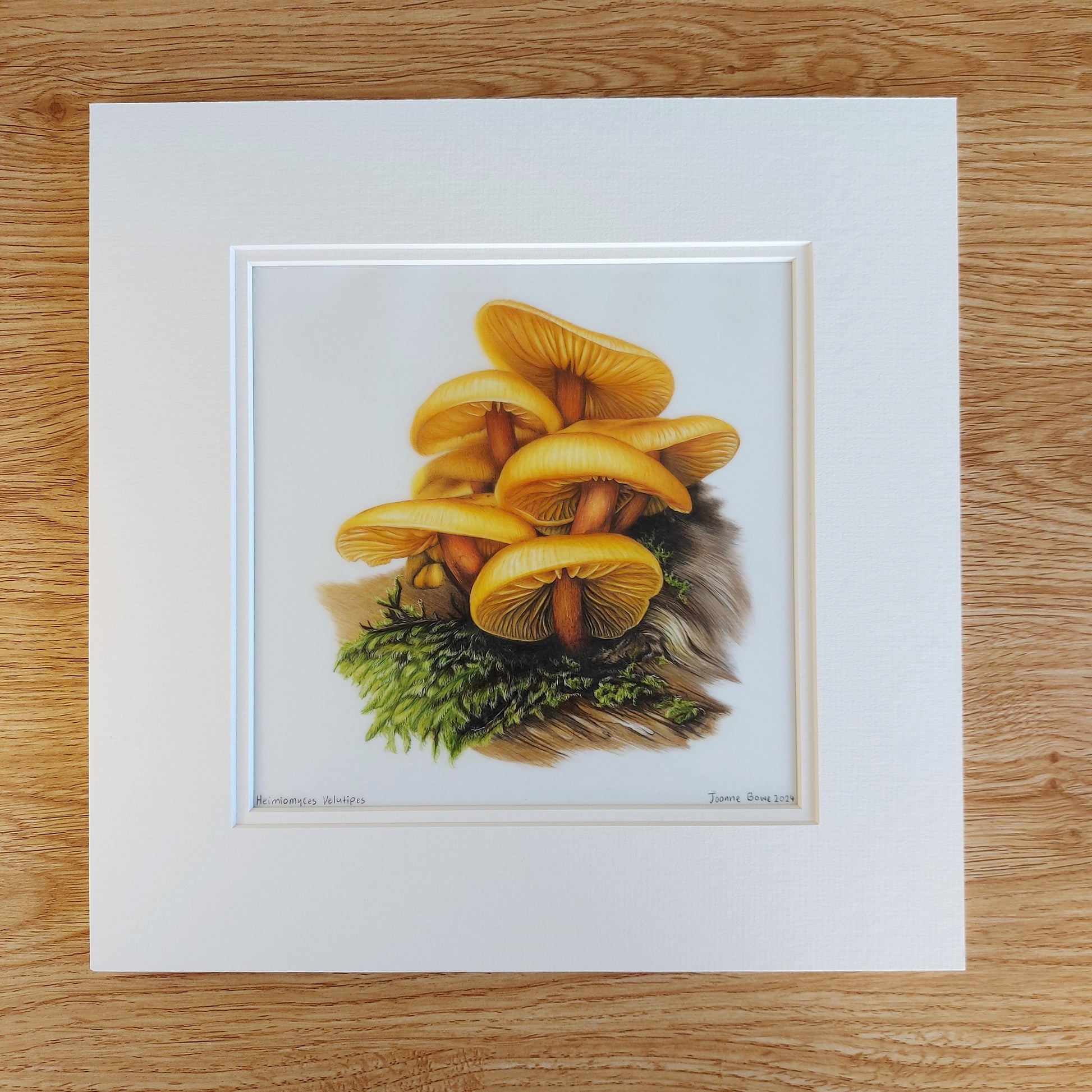 Heimiomyces Velutipes mushroom original drawing