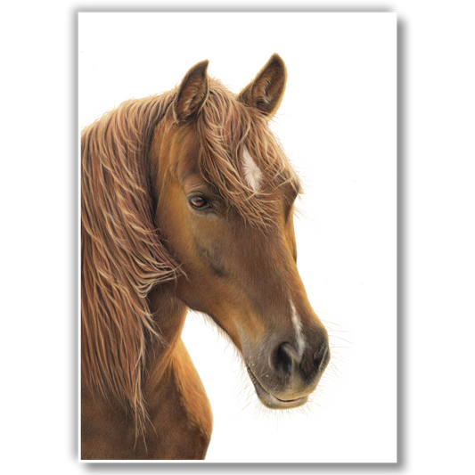 Horse - Joanne Bowe | New Zealand Artist