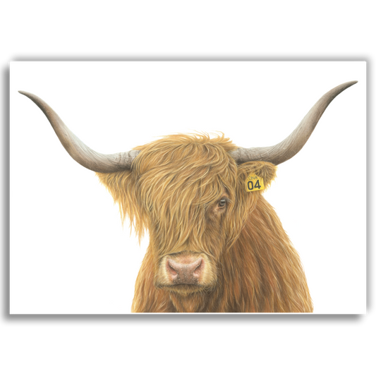No.4 'Una' Highland Cow A4 Art Print