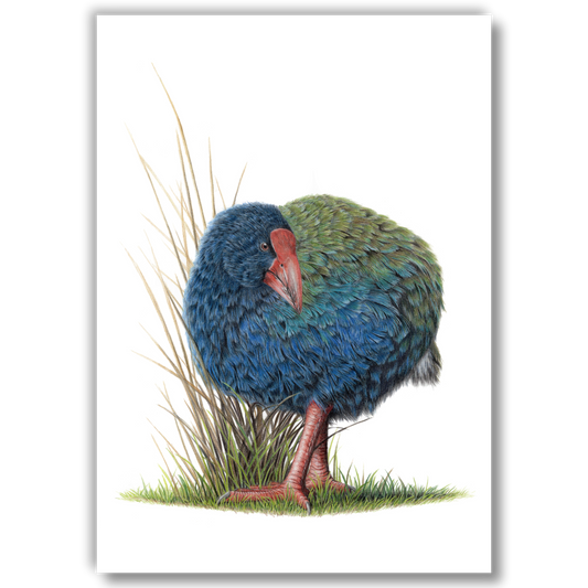 Takahē - Joanne Bowe | New Zealand Artist