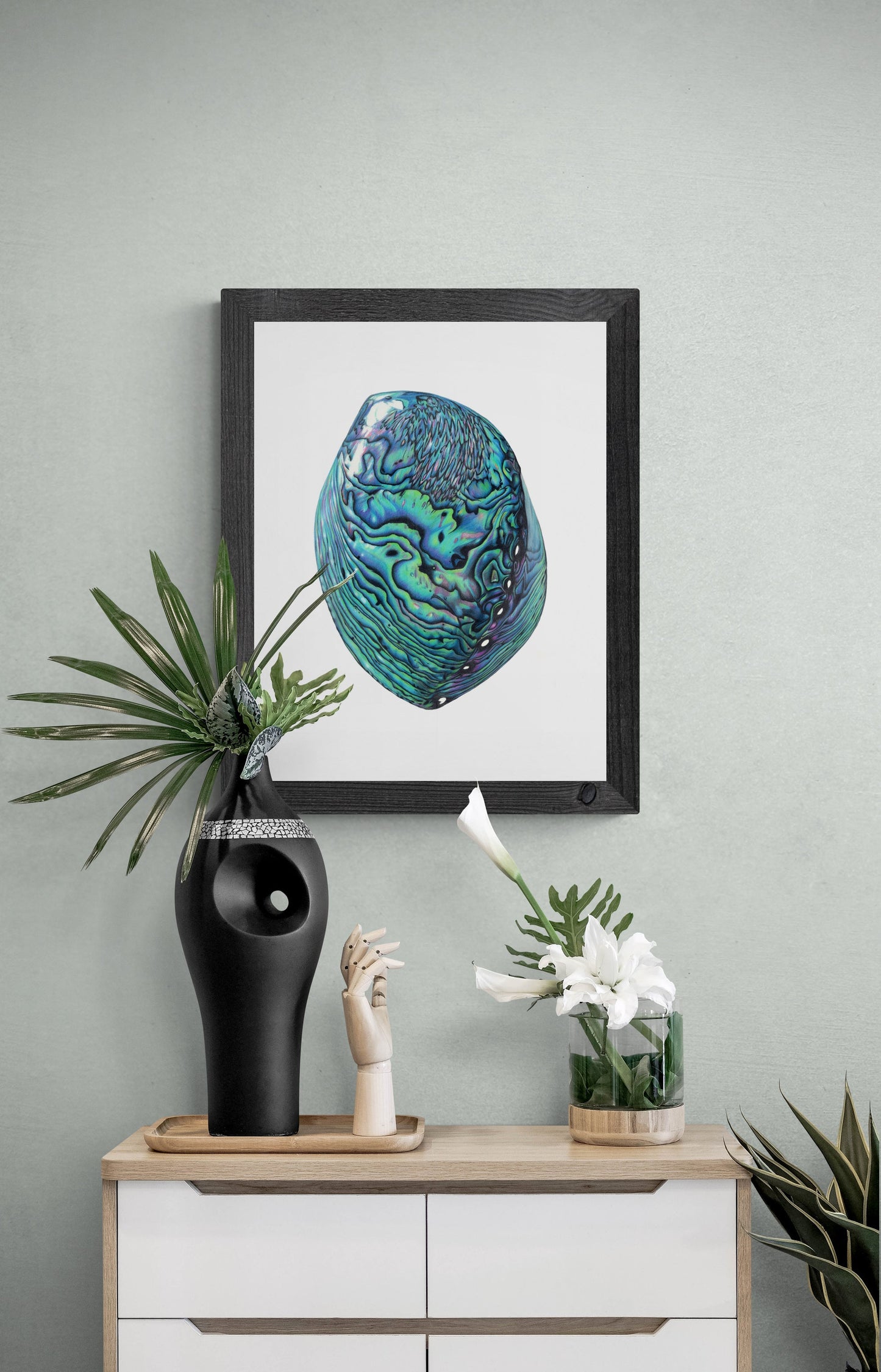 Pāua — Limited Edition Art Print