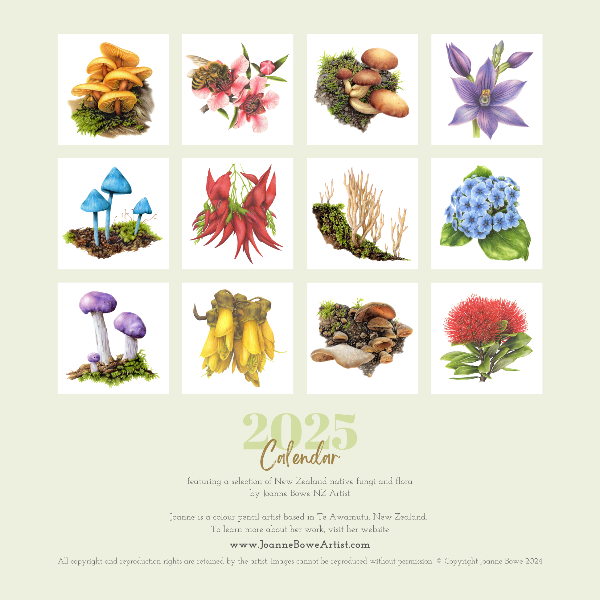 2025 art calendar  fungi and flora by joanne bowe nz artist