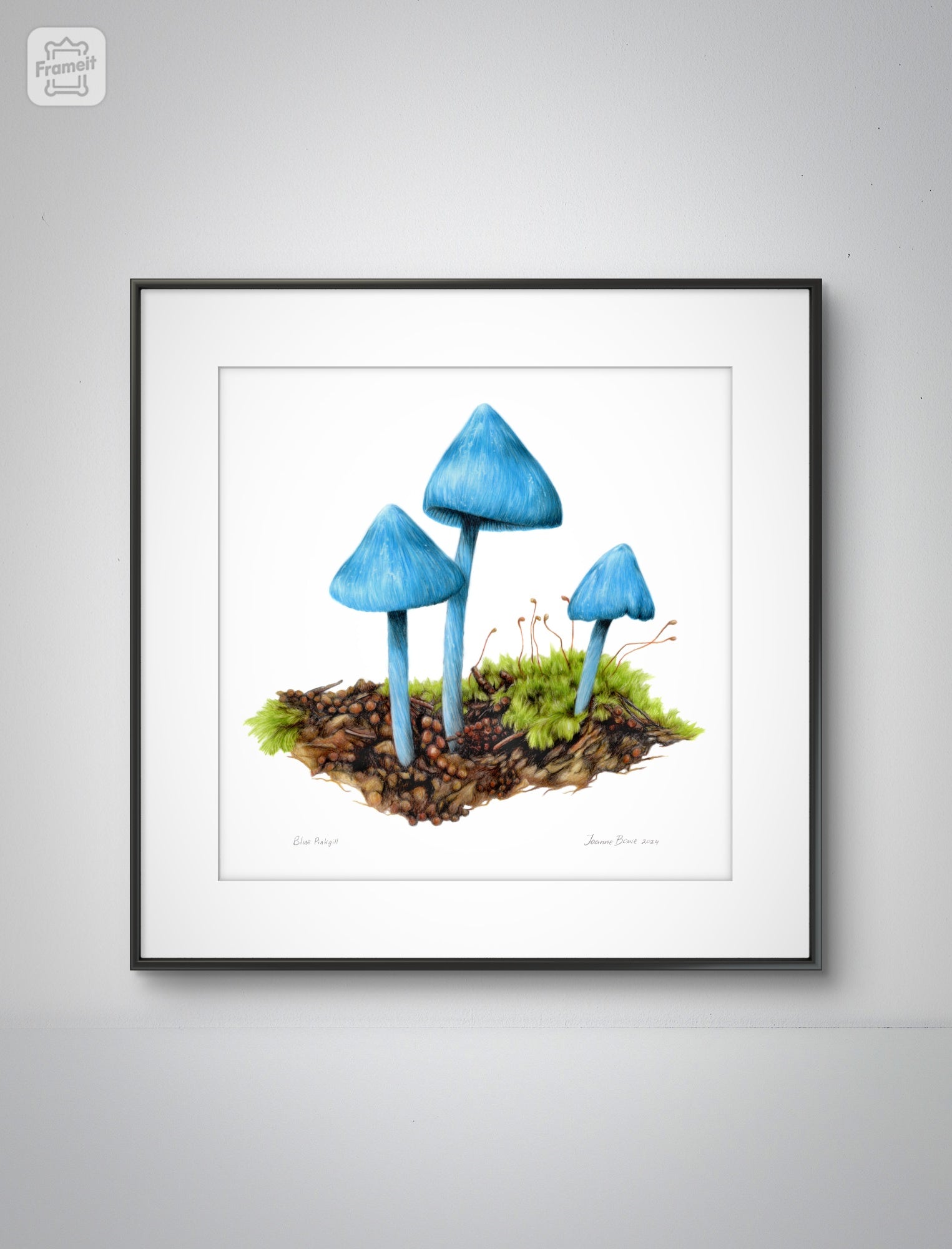 Blue Pinkgill open edition art print styled in a calm home interior setting, showing scale and presentation.