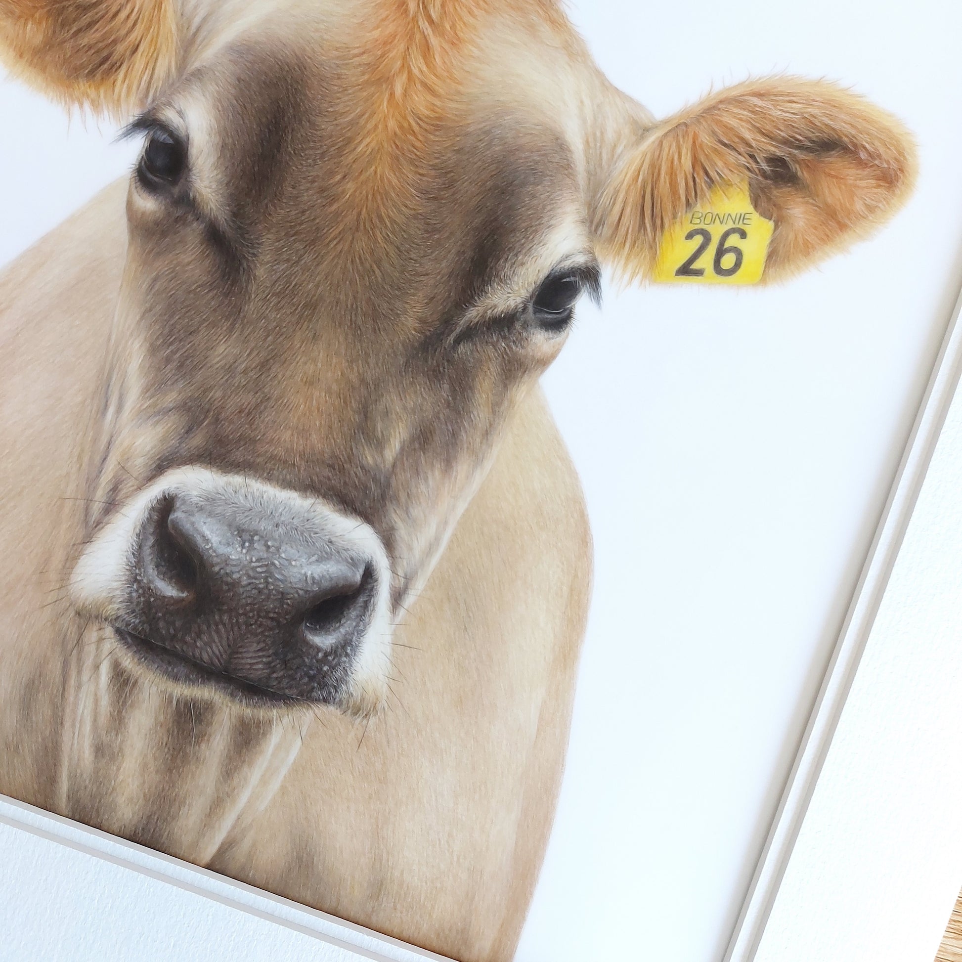 Angled view of the original Jersey cow artwork, showing surface texture and tonal depth.