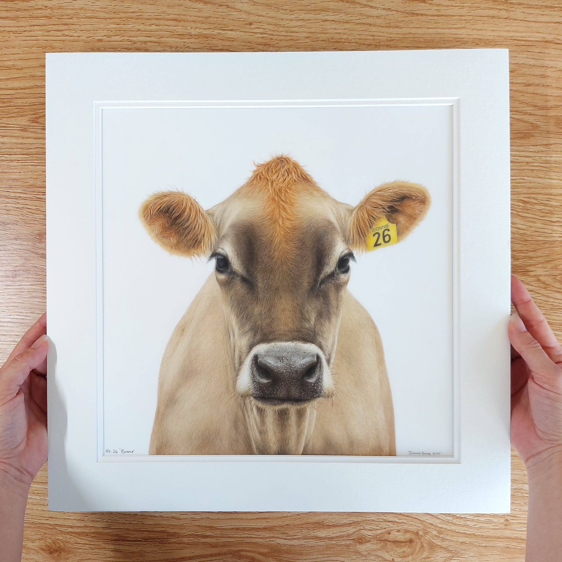 Original coloured pencil artwork of a Jersey cow named Bonnie, showing gentle expression and fine detail.