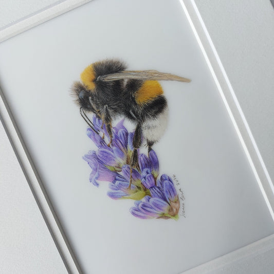 Close-up of a realistic coloured pencil bumblebee drawing on lavender flowers.