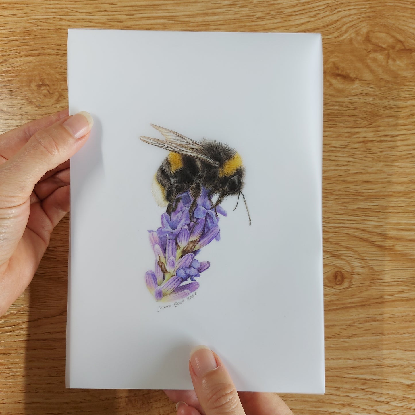 Small A5 drawing of a bumble bee held in hands to show artwork size