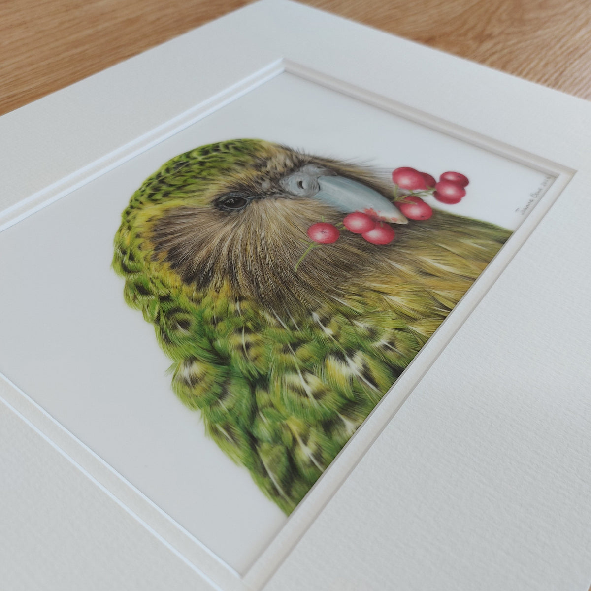 close up angled view of feather details of kakapo original drawing by joanne bowe