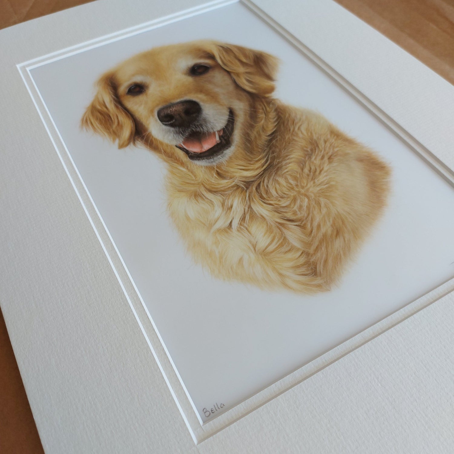 Angled view of a completed pet portrait of a golden retriever, hand-drawn in coloured pencil by joanne bowe