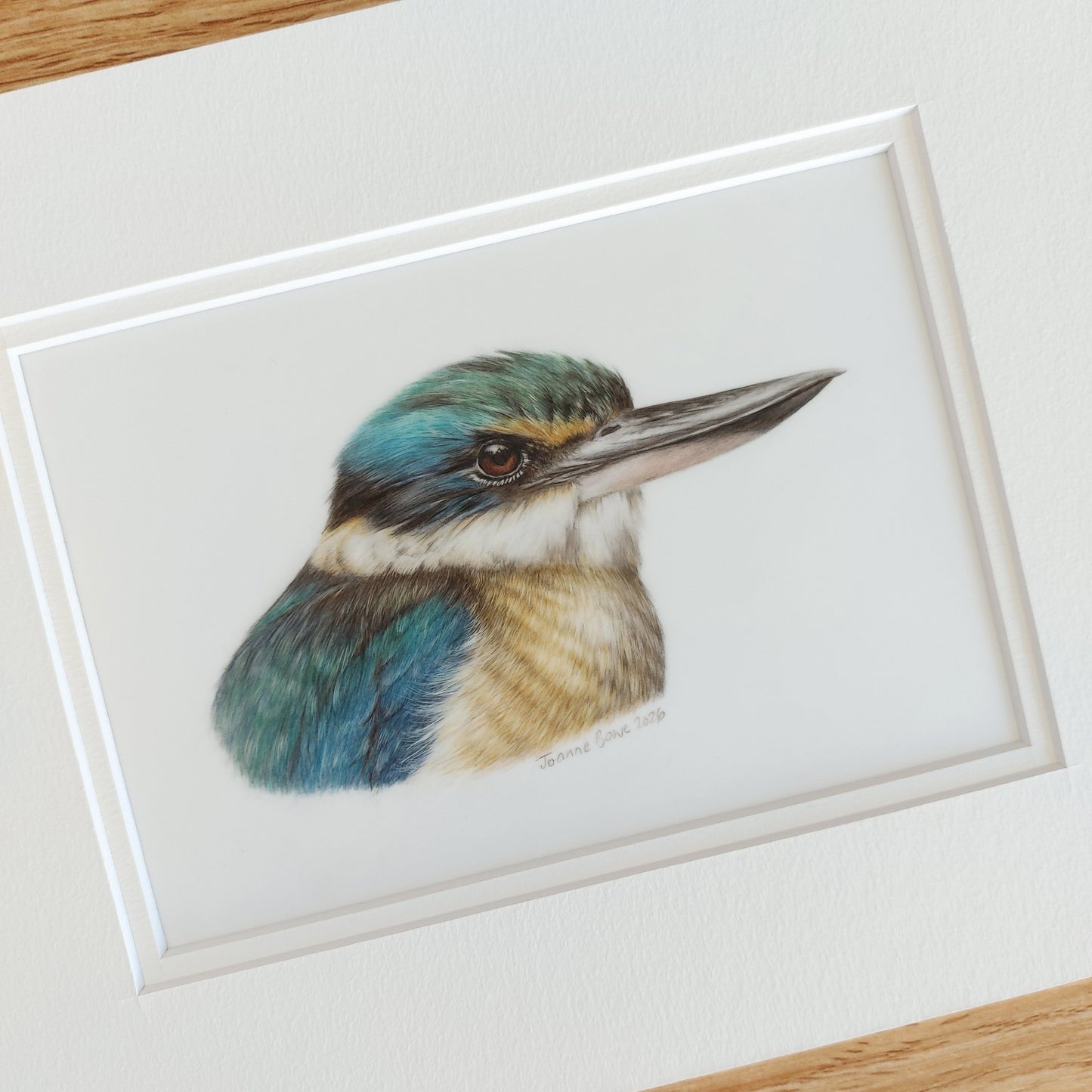 kingfisher new zealand bird artwork by joanne bowe