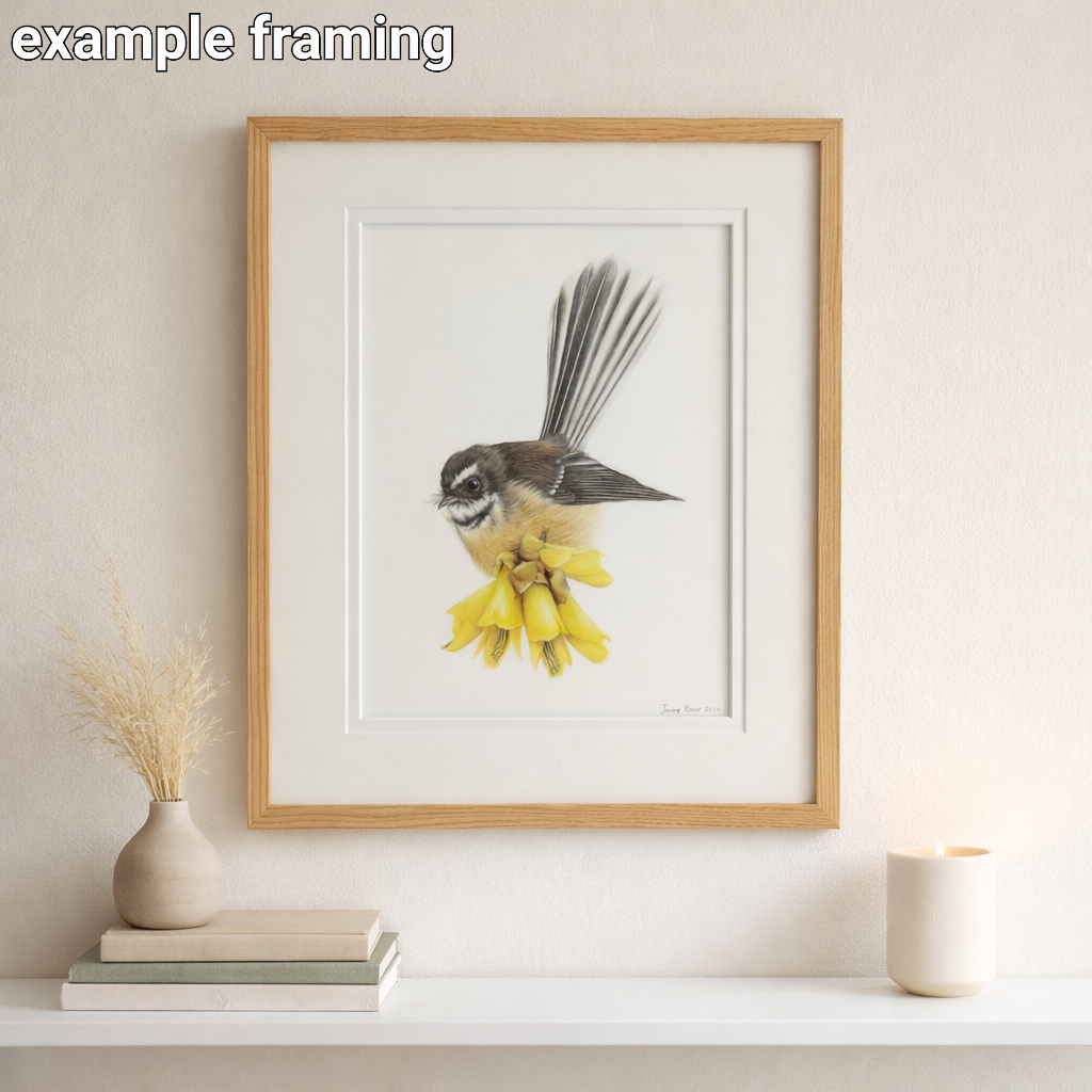 Example of how the Fantail on Kōwhai artwork could look when framed; frame not included