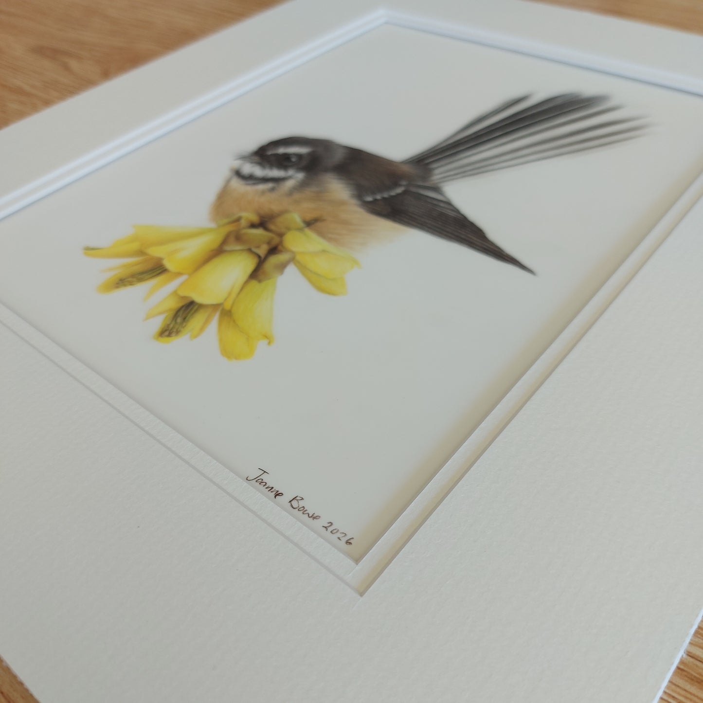 Hand-signed original coloured pencil artwork Fantail on Kōwhai