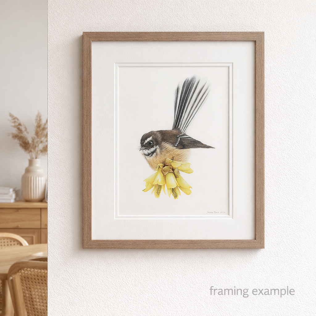 Fantail on kōwhai coloured pencil artwork shown framed in a mid brown ash timber frame, styled in a Scandinavian interior as a framing example