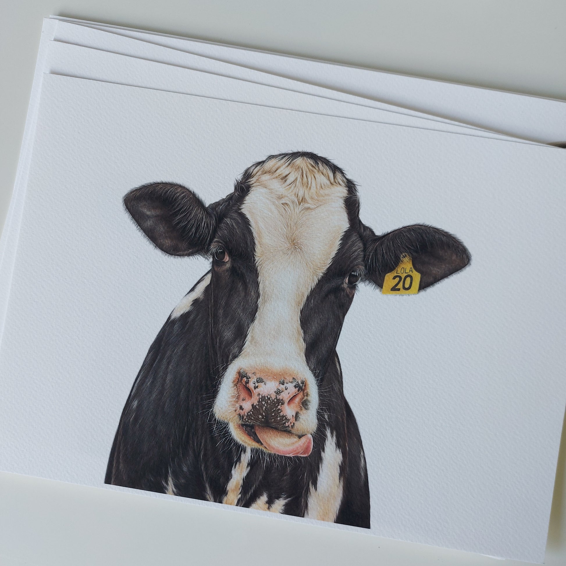 lola the friesian dairy cow art. rural new zealand artwork