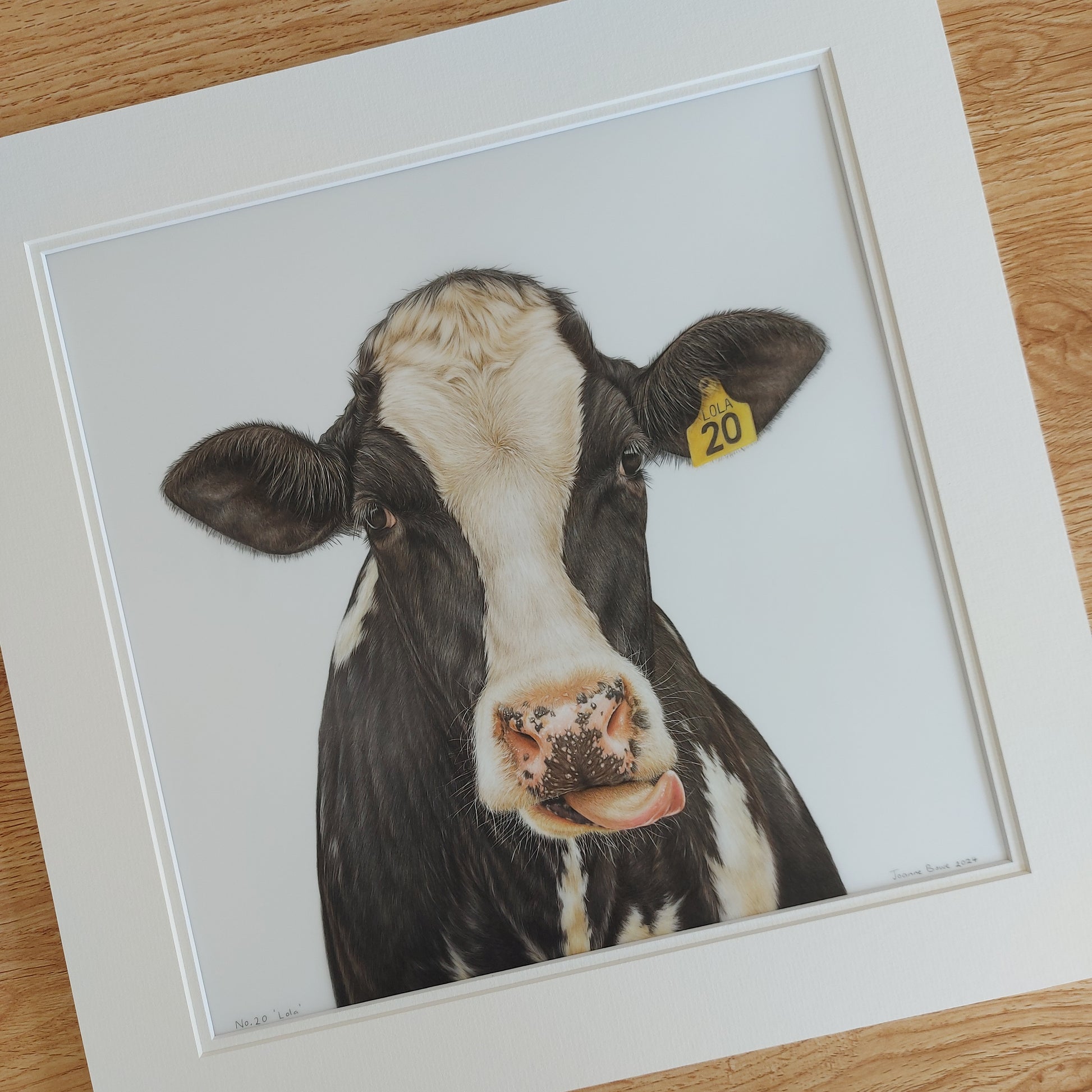 friesian dairy cow art. rural new zealand artwork
