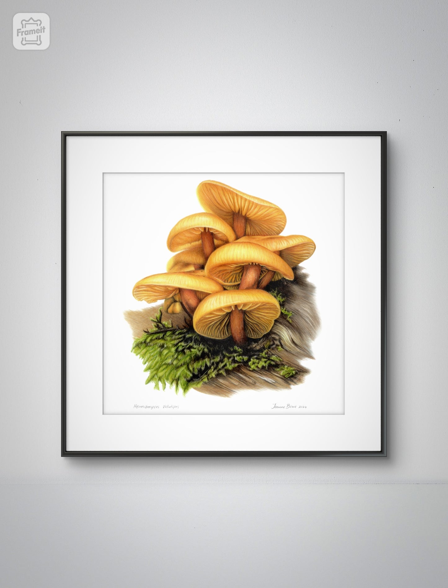 Heimiomyces velutipes open edition art print styled in a calm home interior setting
